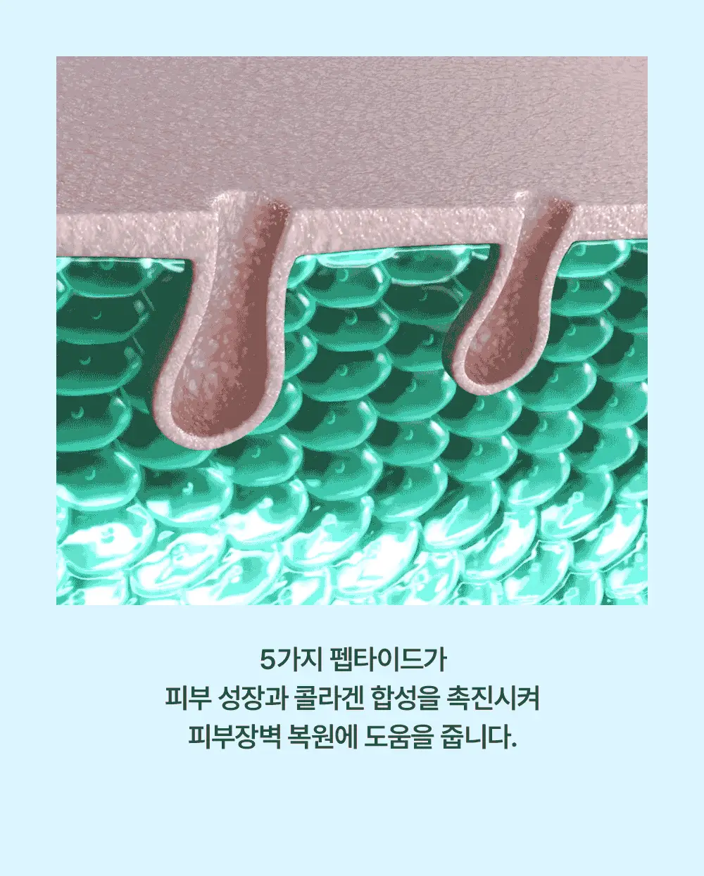[단독기획] 런드리유 클린 포어 리퀴드 울트라 피지연화제 기획 (+피지전용화장솜 15매 증정) 상세페이지 35